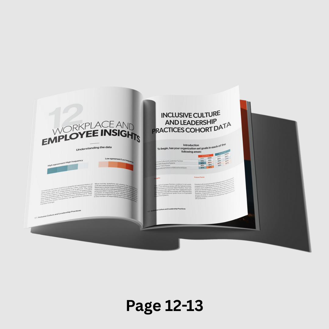 Camber Outdoors workplace insights report — pages 12-13