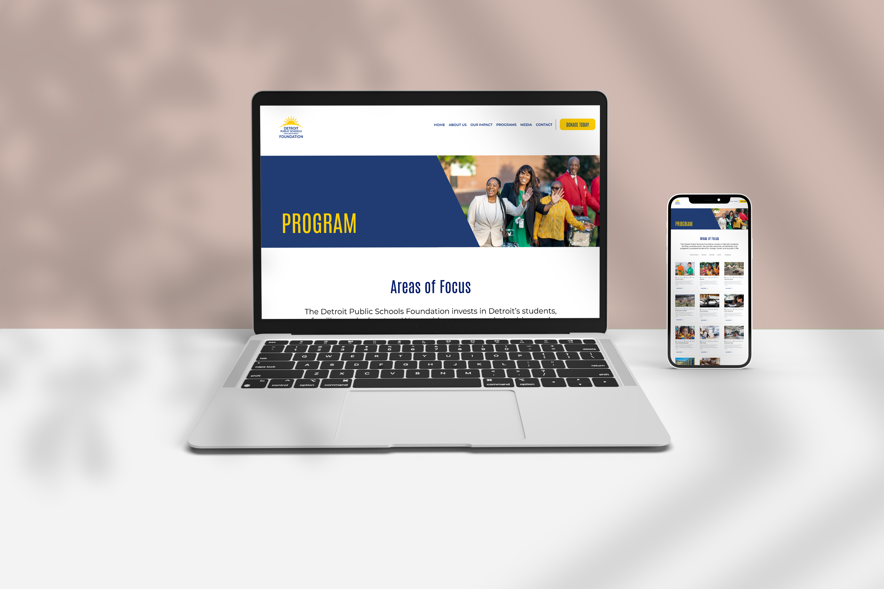 DPSCD Foundation Programs page with Areas of Focus